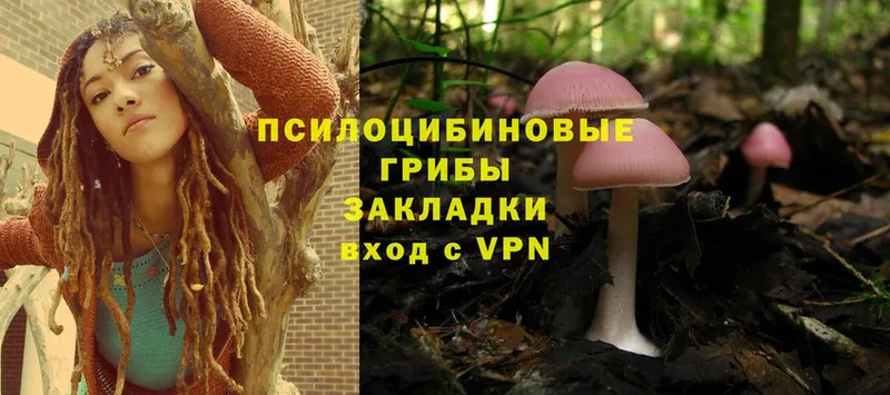 купить наркоту  Домодедово  Галлюциногенные грибы Magic Shrooms 